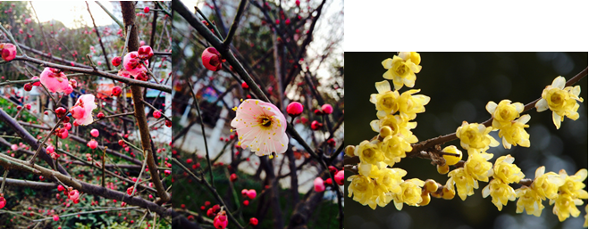 /Uploads/category/2015-01-19/54bc5850e4097.png